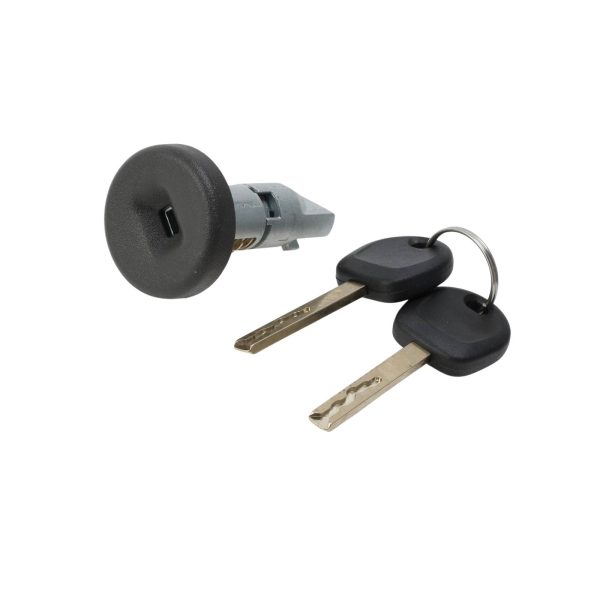 STRATTEC 7024124 GM HU100 Uncoded Ignition Repair Kit